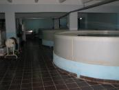 album_photo_1