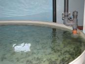 album_photo_6